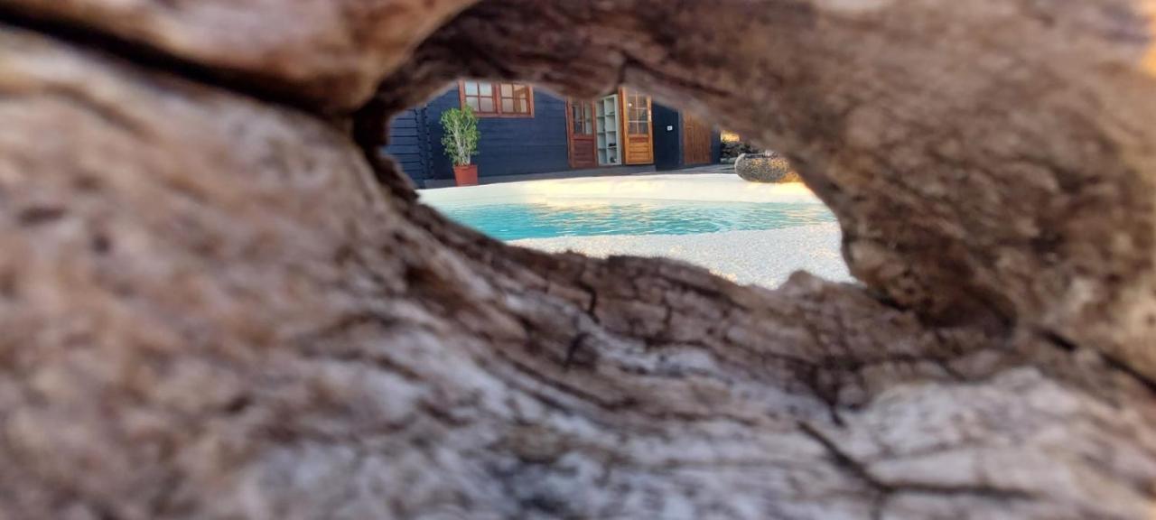 Villa Los Guirres Tazacorte Luaran gambar